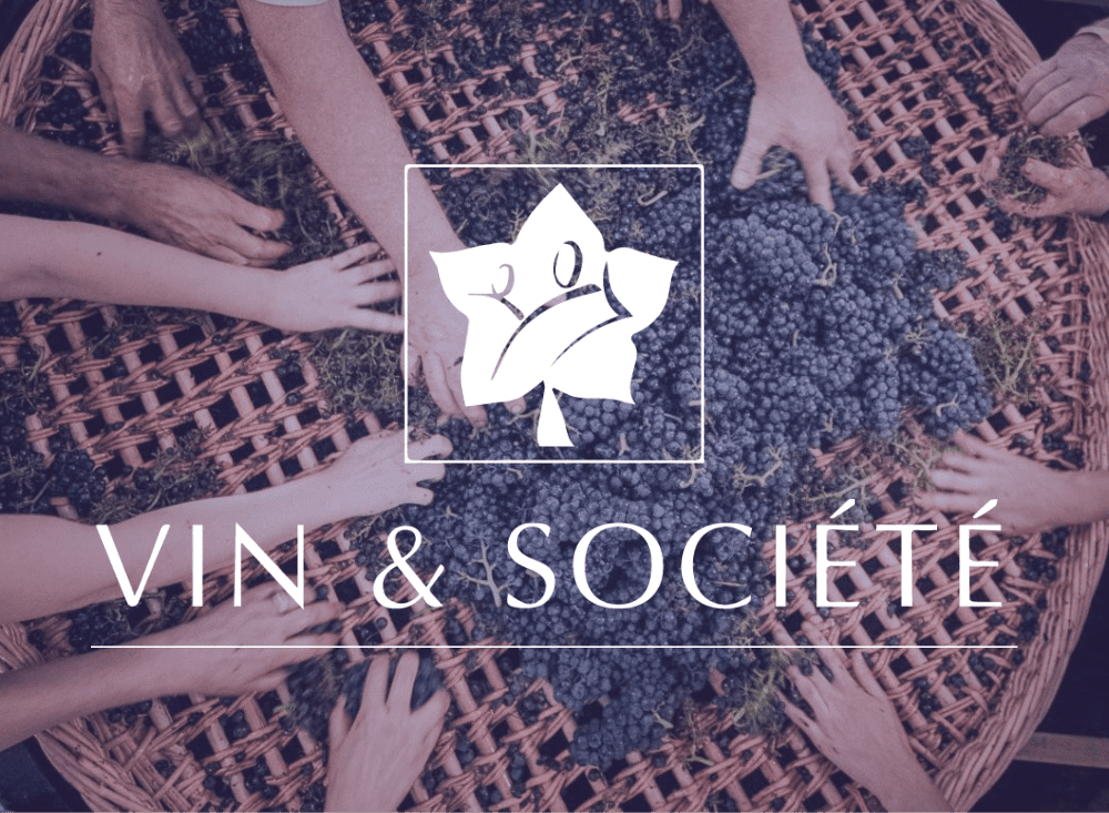 Vin et société cover - Arnaud Le Roux - Directeur Artistique Digital & Développeur Front-End